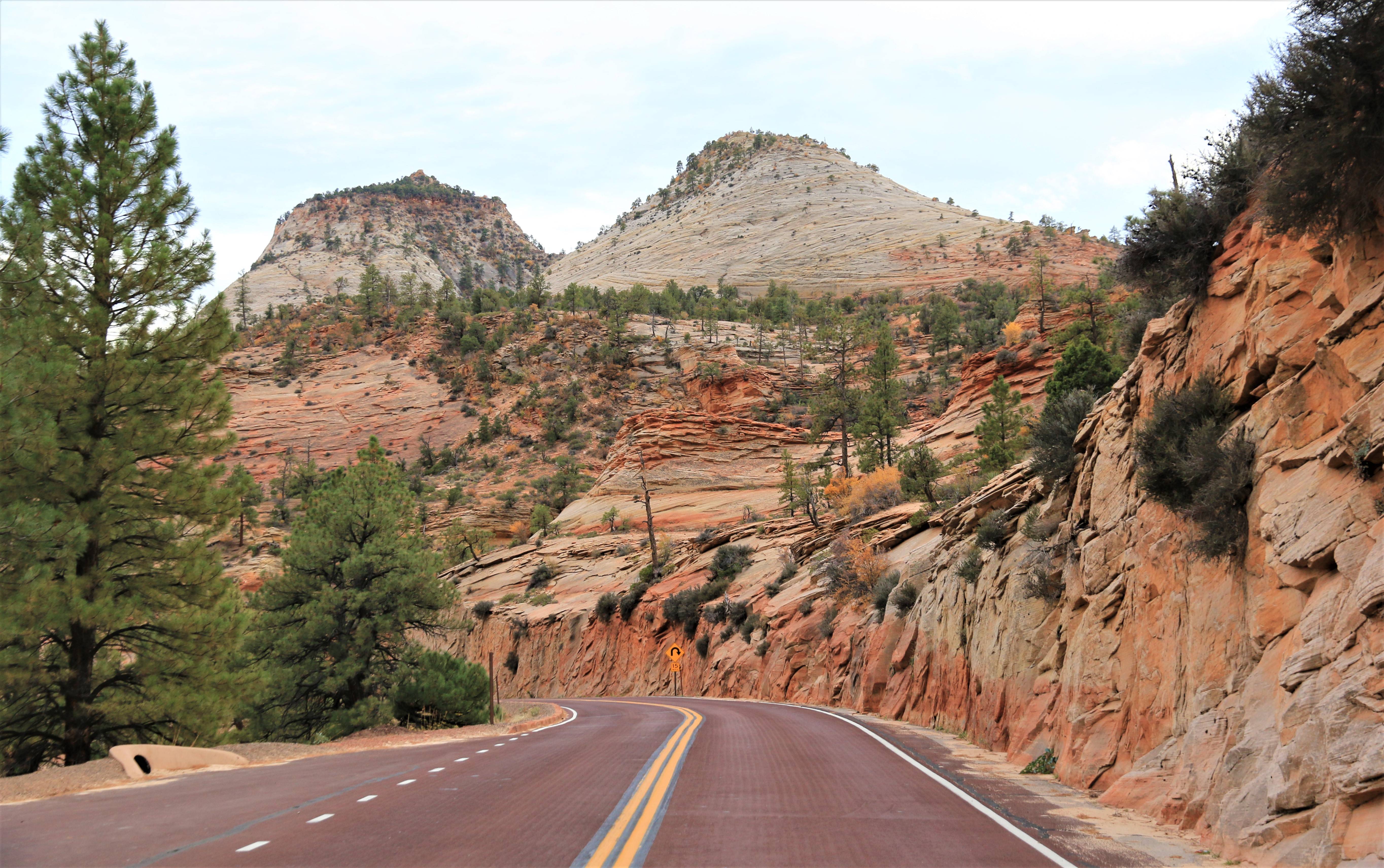 Zion NP